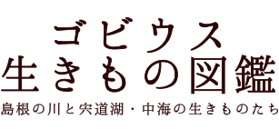 ゴビウス生きもの図鑑