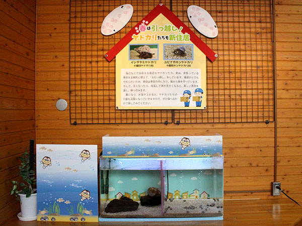 展示の様子