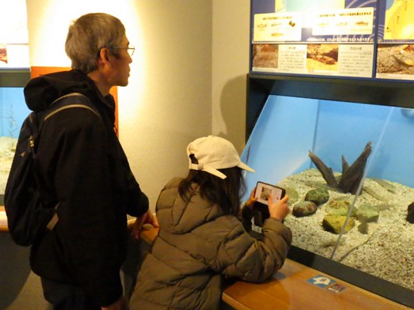 観察会のようす