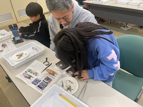 観察会のようす