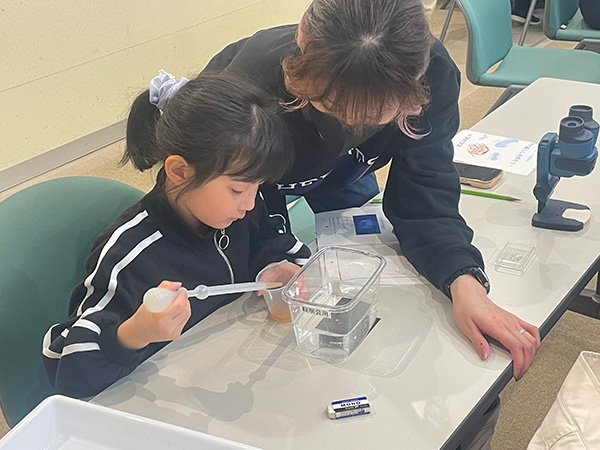 観察会のようす