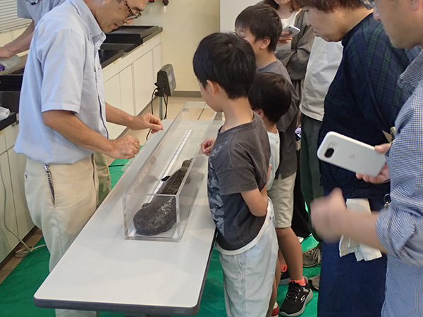 観察会のようす