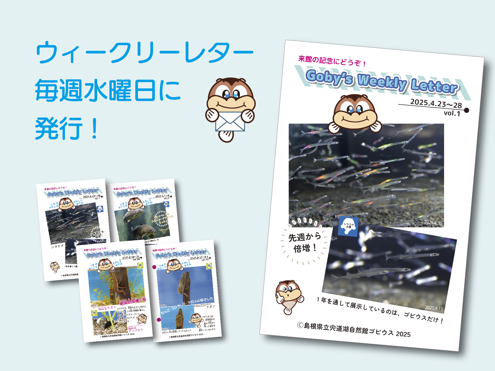 展示のようす