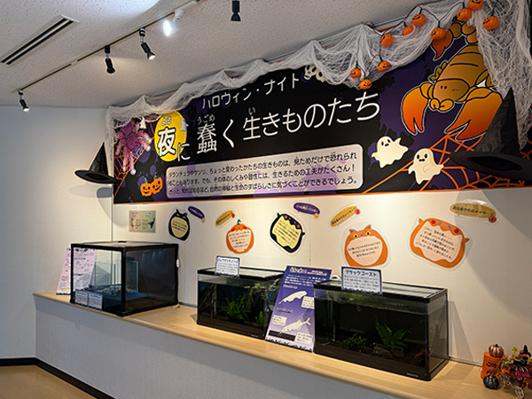 展示のようす