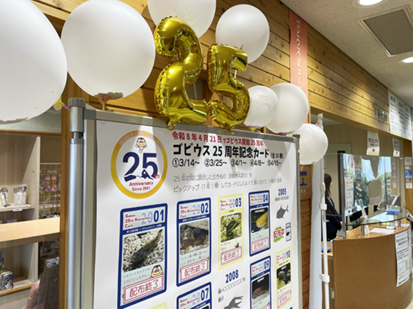 イベントのようす イベントのようす
