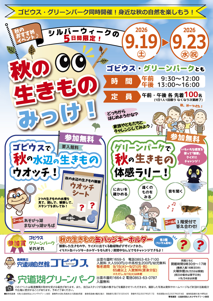 マメコブシガニ