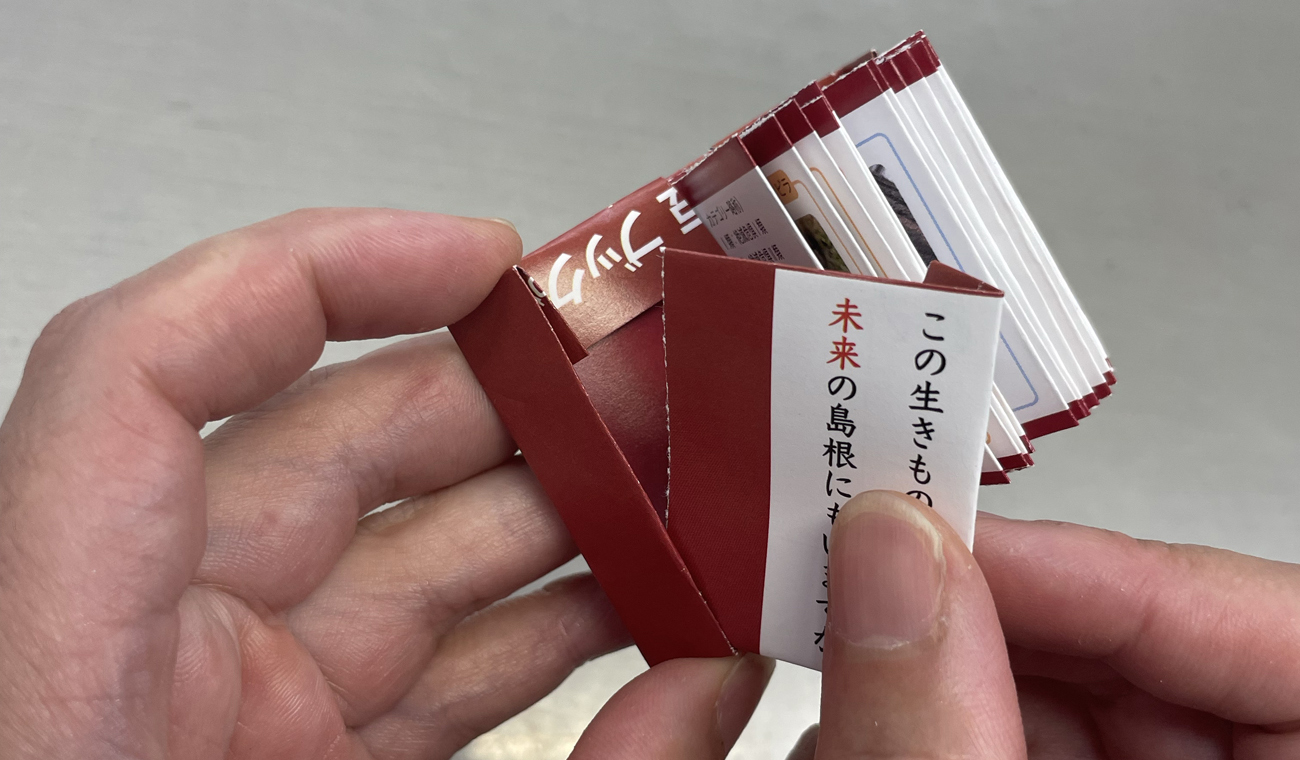 ステップ6_1