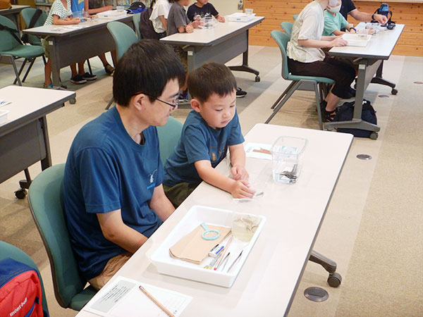 観察会のようす