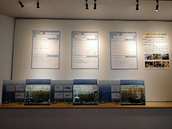 ラムサール探偵団水槽