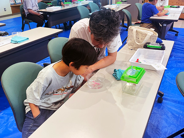観察会のようす