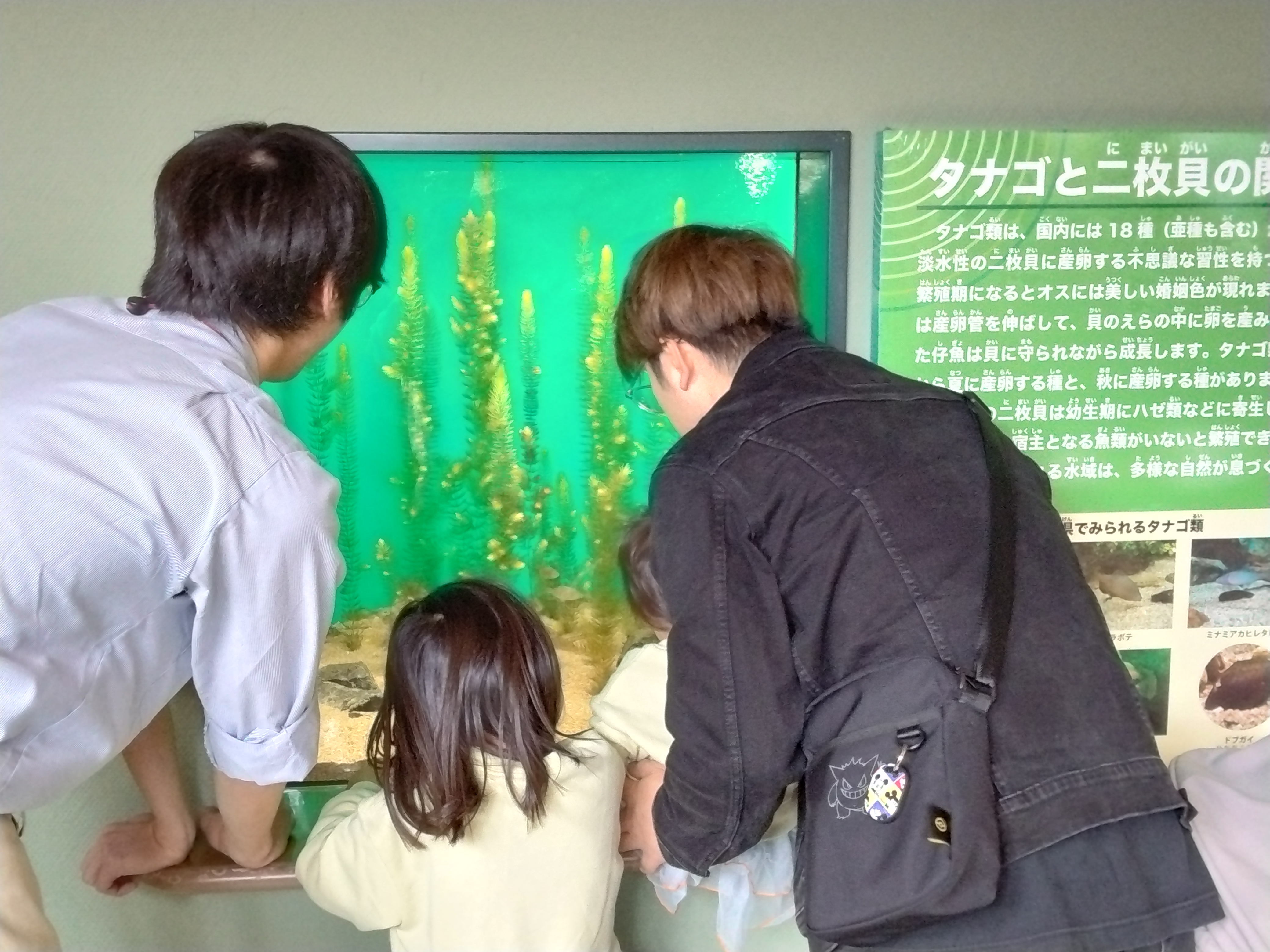 観察会のようす