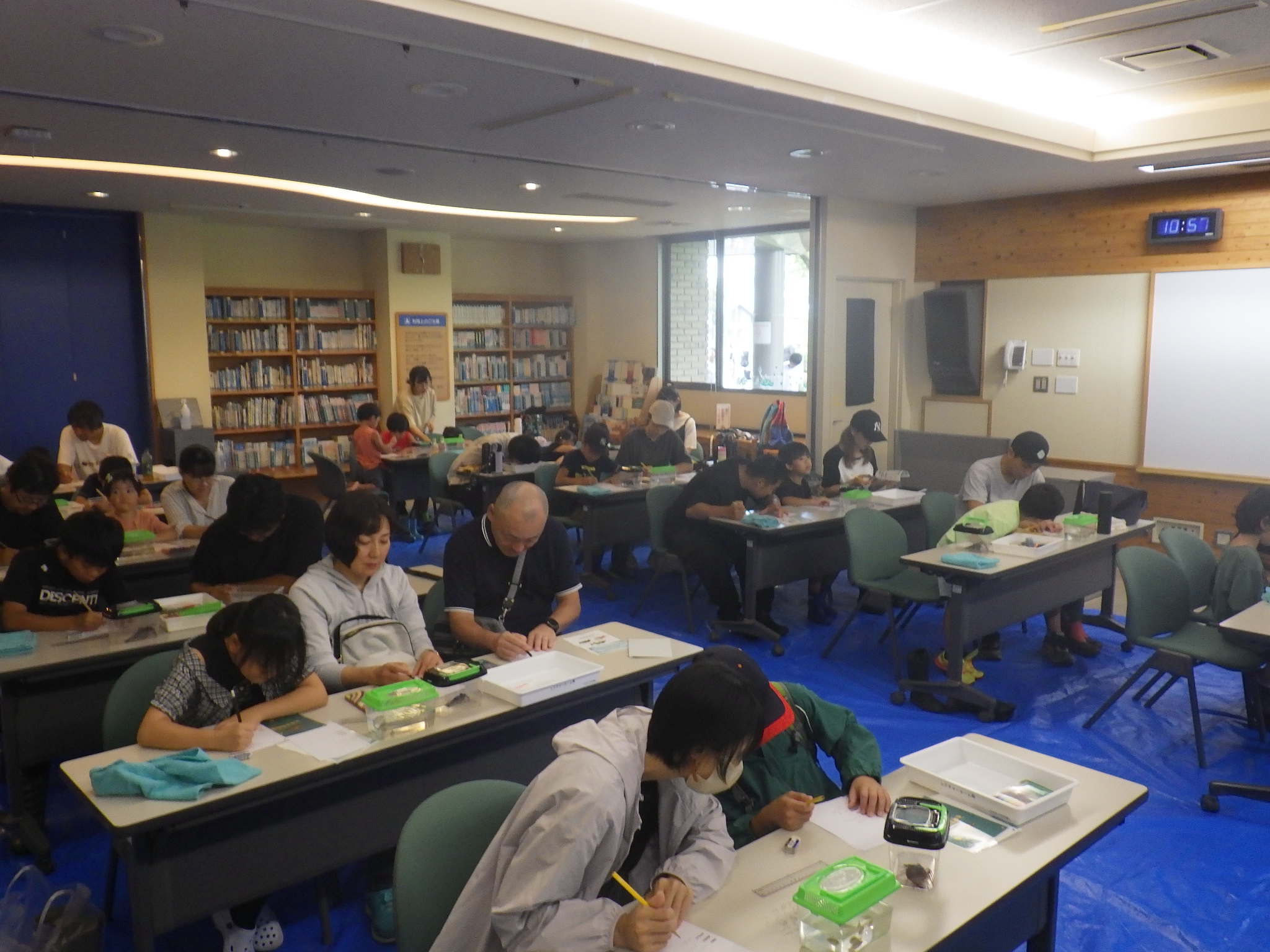 観察会のようす
