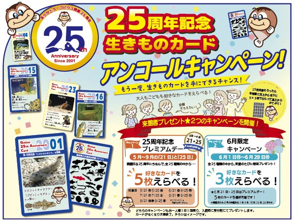 25周年記念カード！