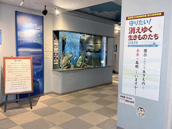 展示のようす