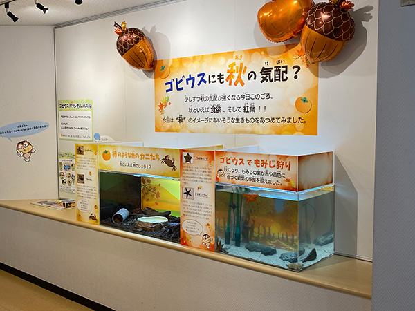 ゴビウスにも秋の気配?